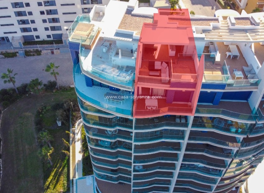 Herverkoop - Appartement / flat - Punta Prima