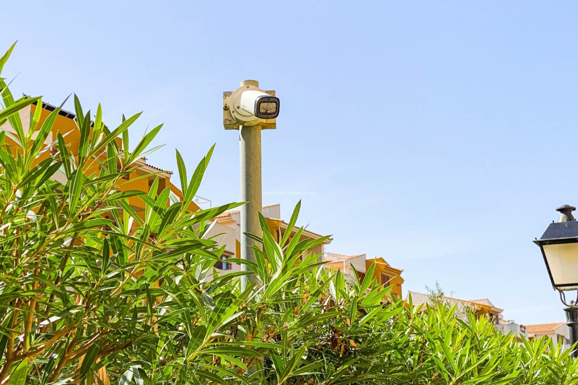 Herverkoop - Appartement / flat - Punta Prima