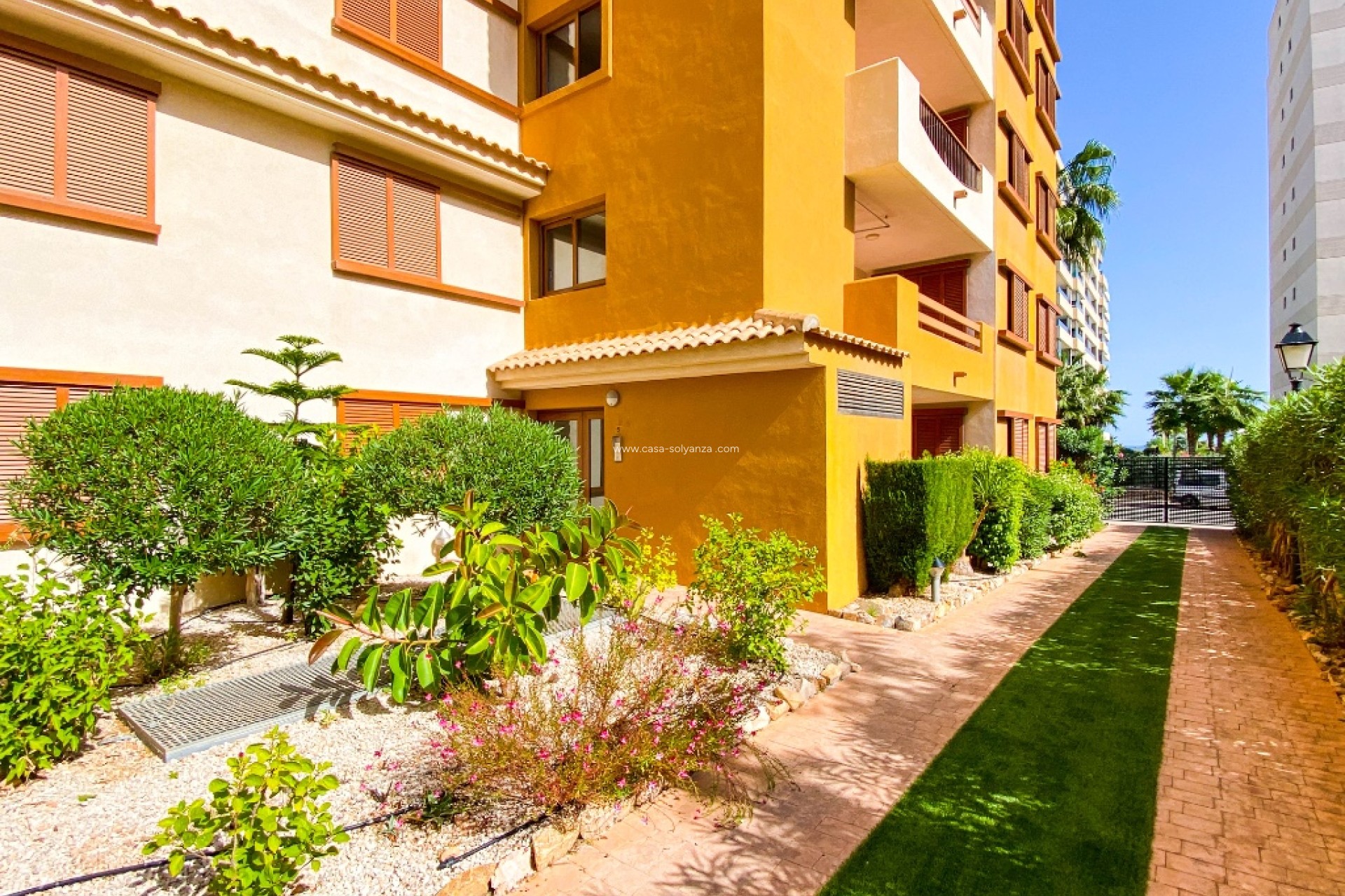 Herverkoop - Appartement / flat - Punta Prima