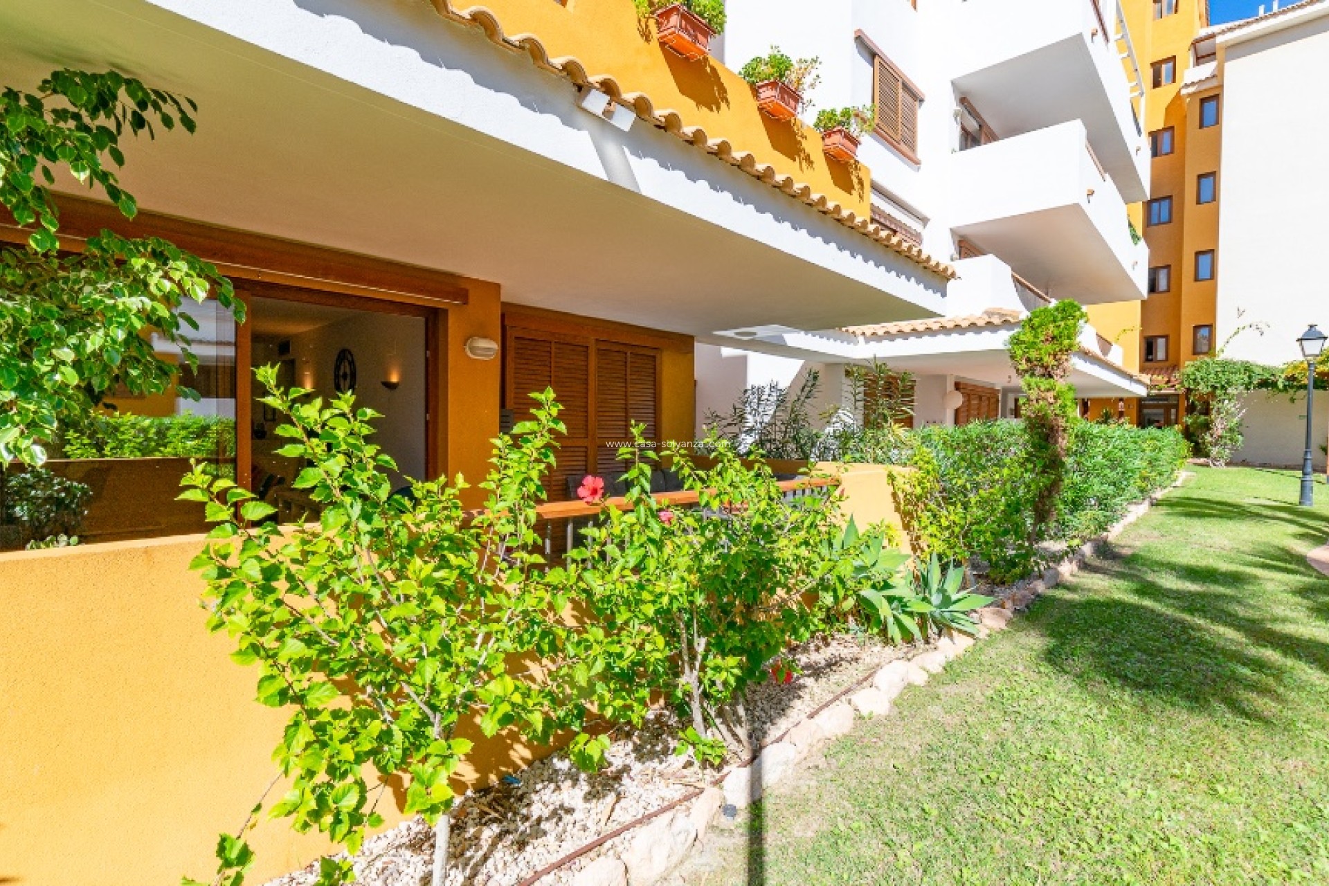 Herverkoop - Appartement / flat - Punta Prima