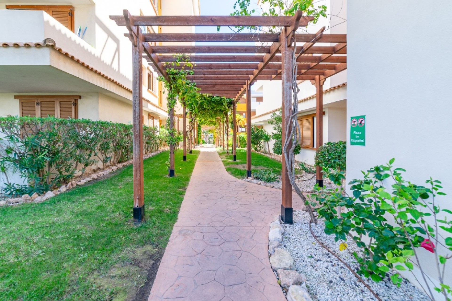 Herverkoop - Appartement / flat - Punta Prima