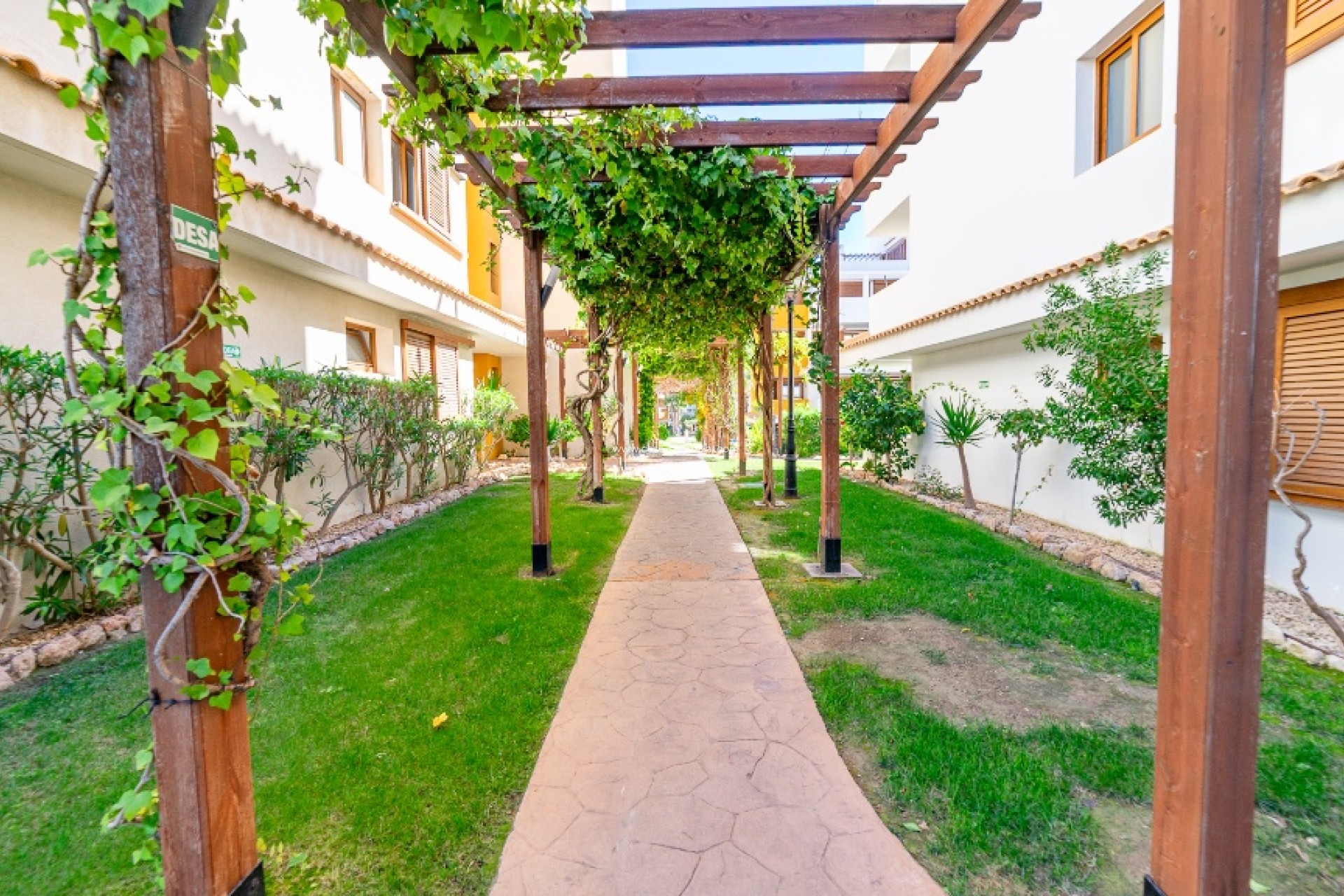 Herverkoop - Appartement / flat - Punta Prima