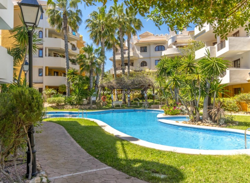 Herverkoop - Appartement / flat - Punta Prima