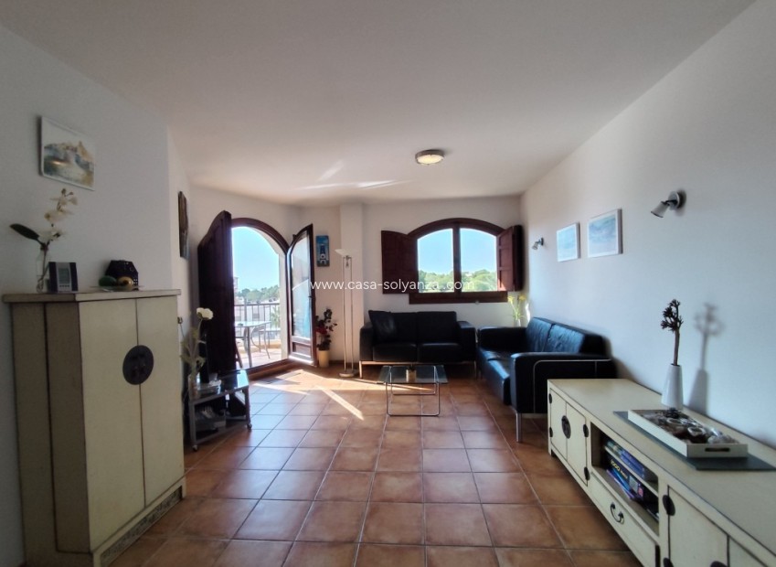 Herverkoop - Appartement / flat - Punta Prima