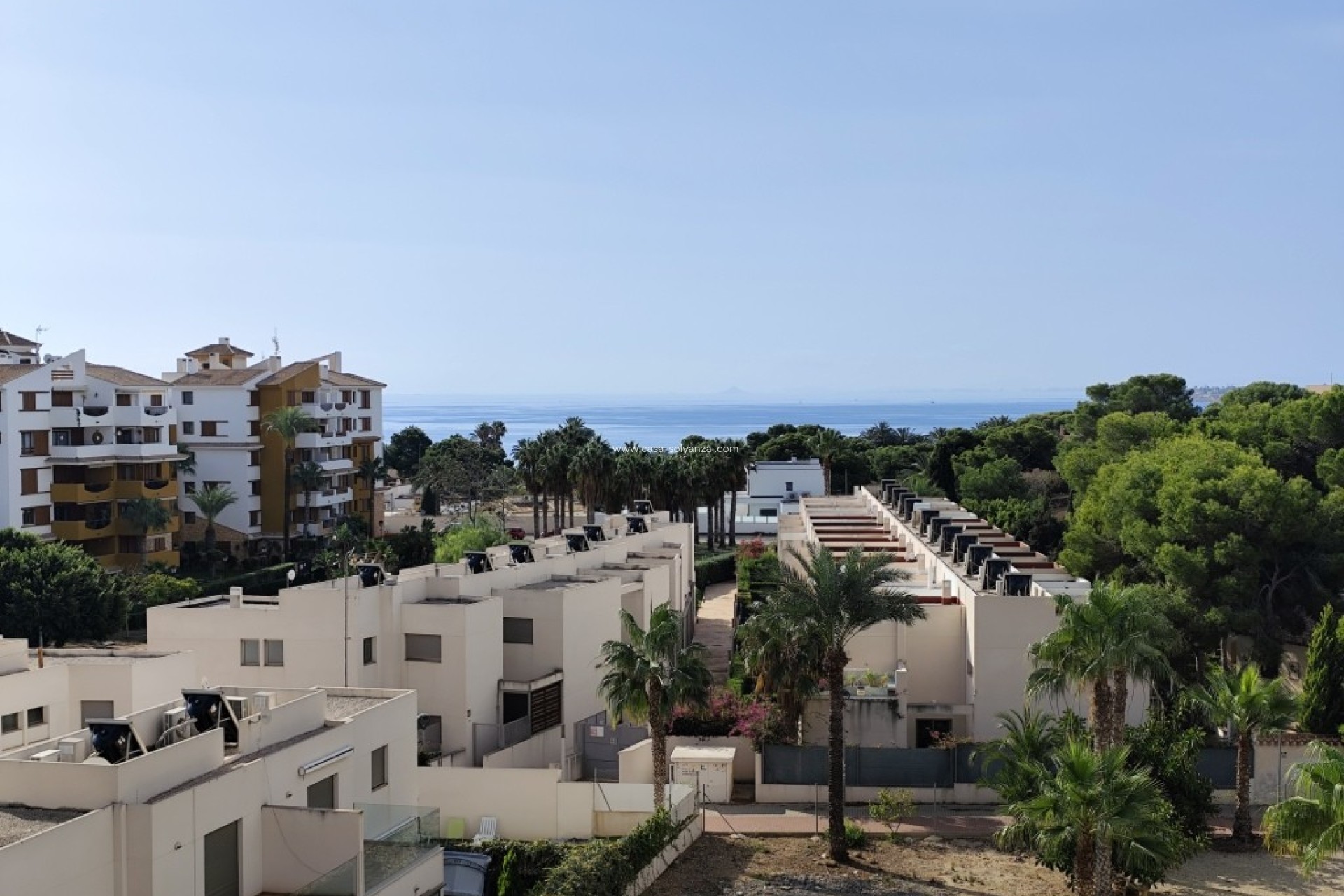 Herverkoop - Appartement / flat - Punta Prima
