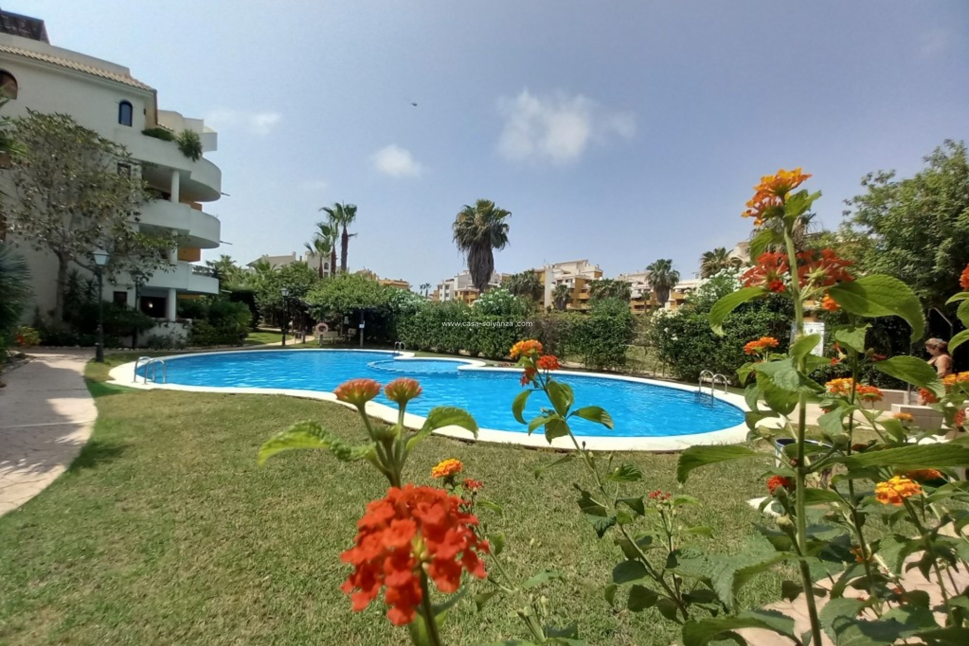 Herverkoop - Appartement / flat - Punta Prima