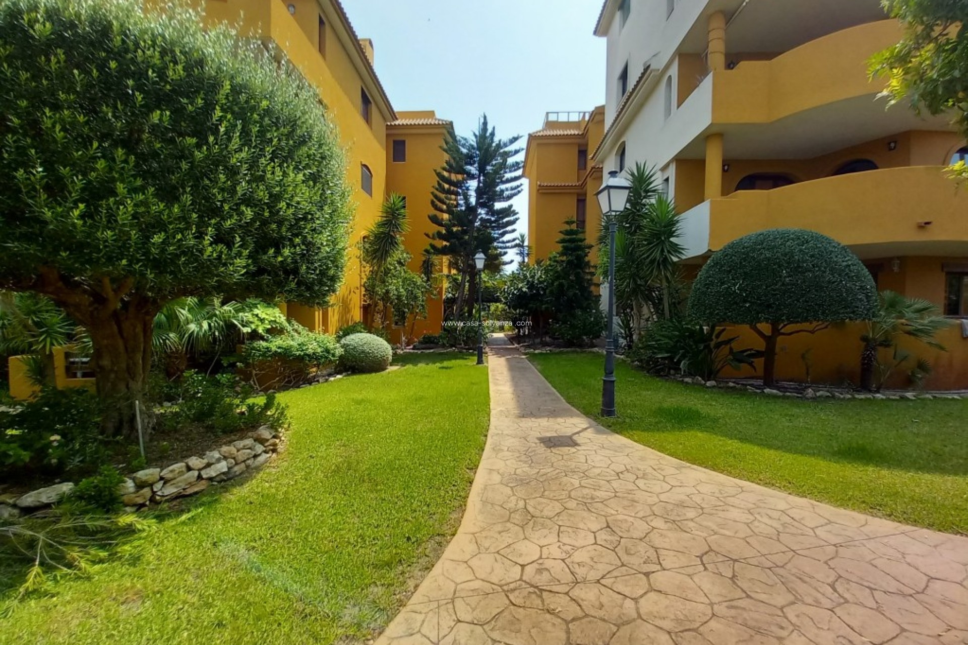 Herverkoop - Appartement / flat - Punta Prima