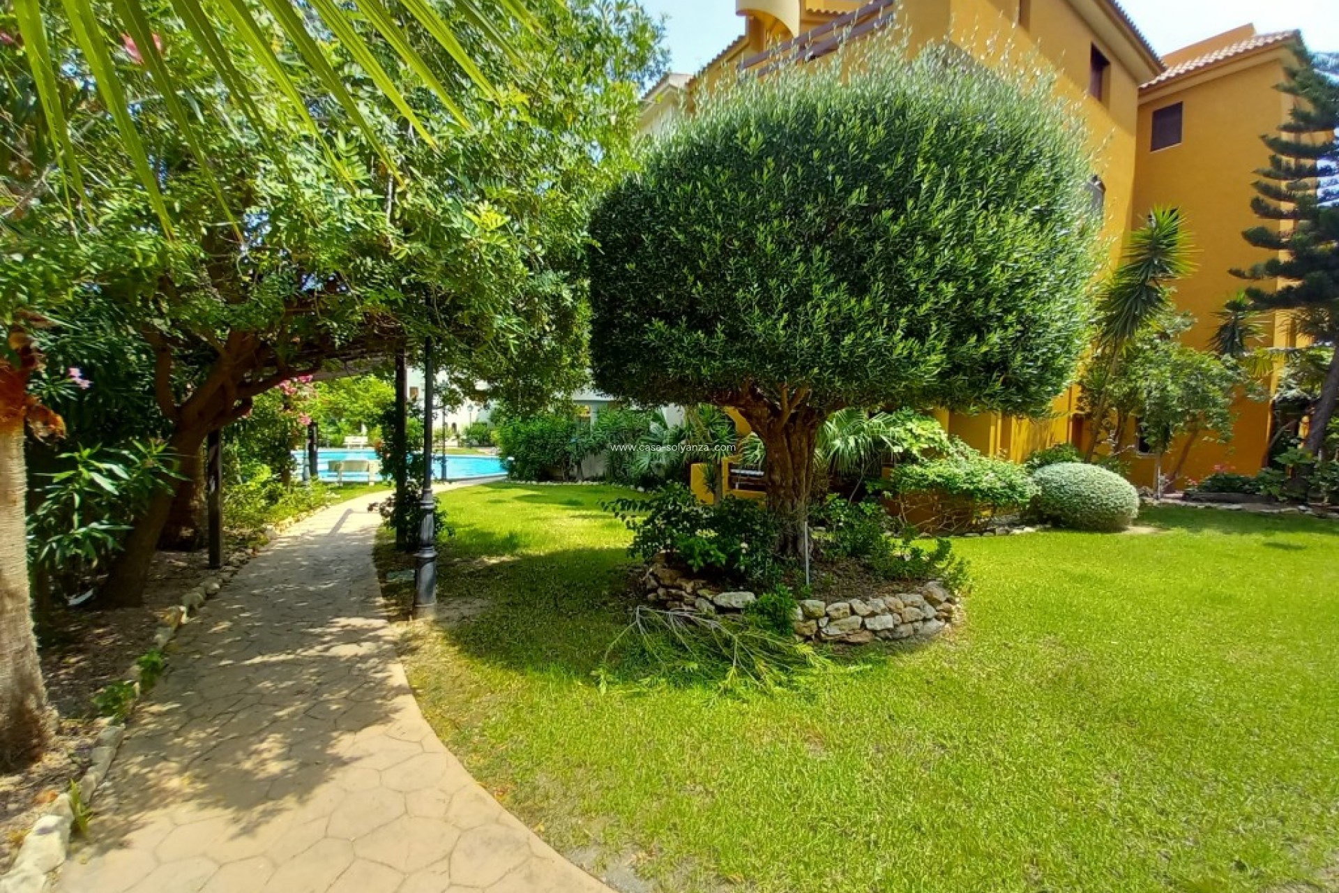 Herverkoop - Appartement / flat - Punta Prima