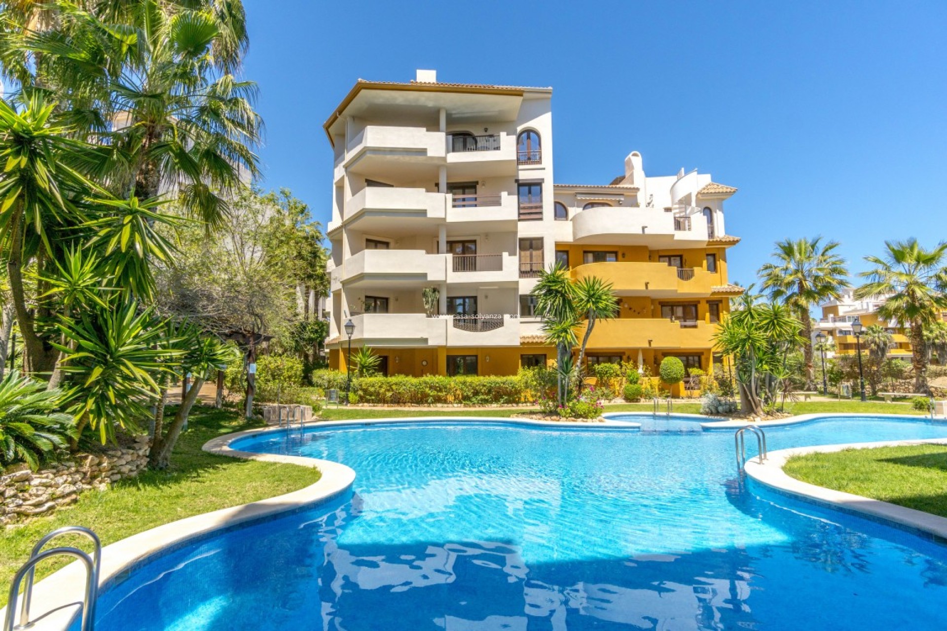 Herverkoop - Appartement / flat - Punta Prima