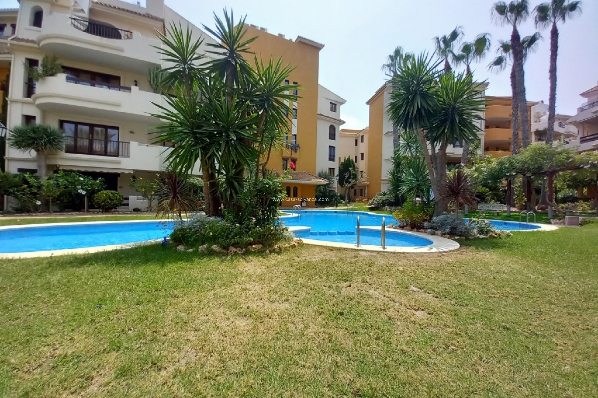 Herverkoop - Appartement / flat - Punta Prima