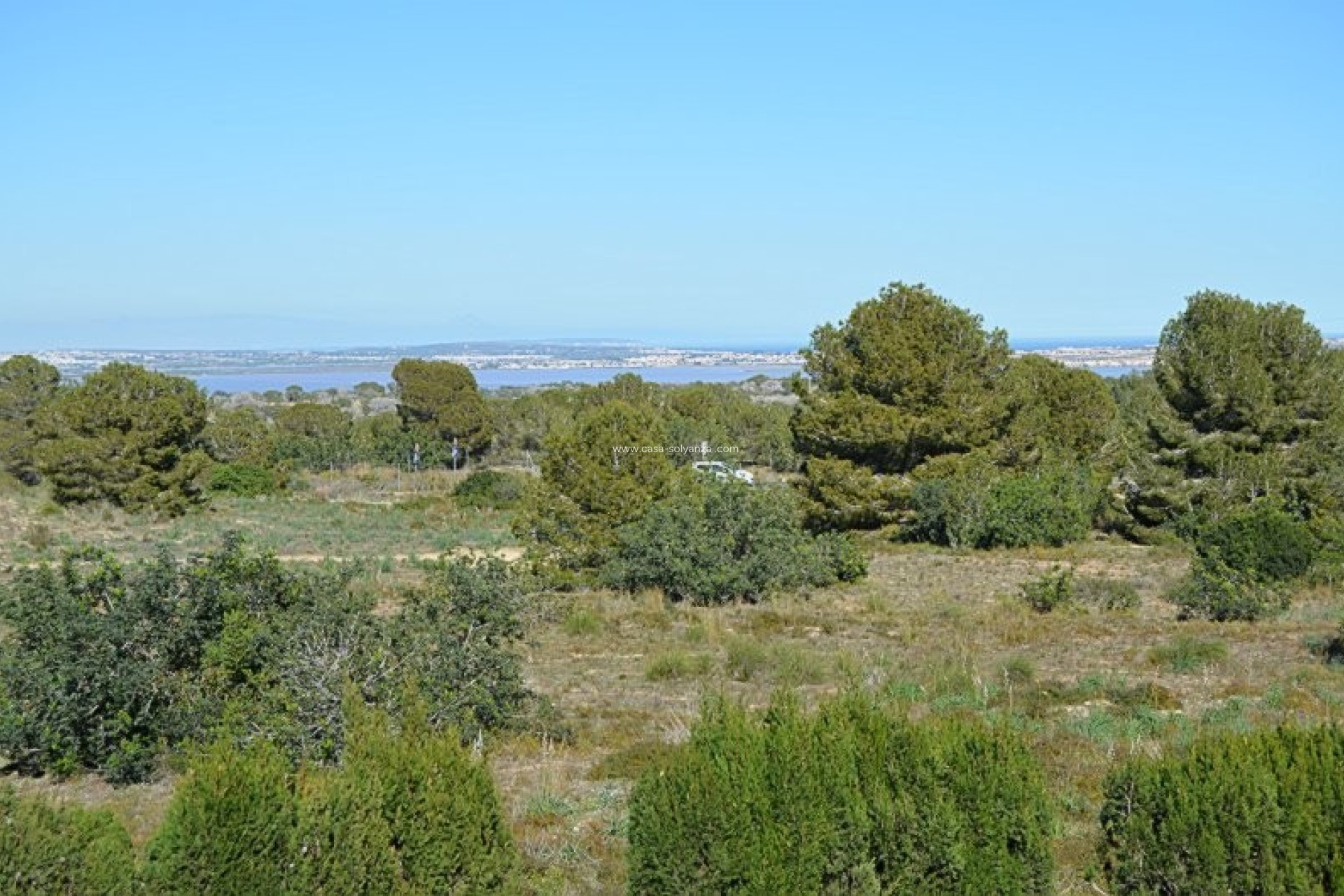 Herverkoop - Appartement / flat - San Miguel de Salinas - Blue Lagoon