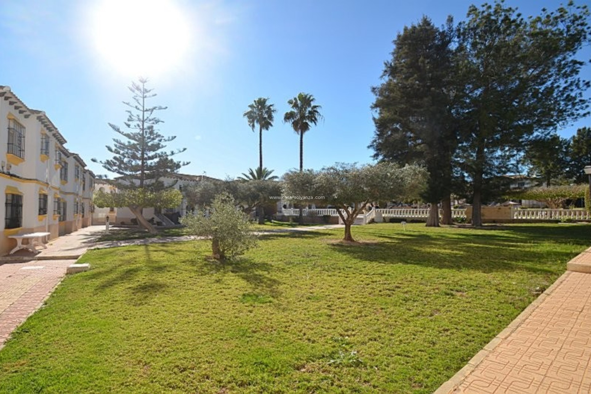 Herverkoop - Appartement / flat - San Miguel de Salinas - Blue Lagoon