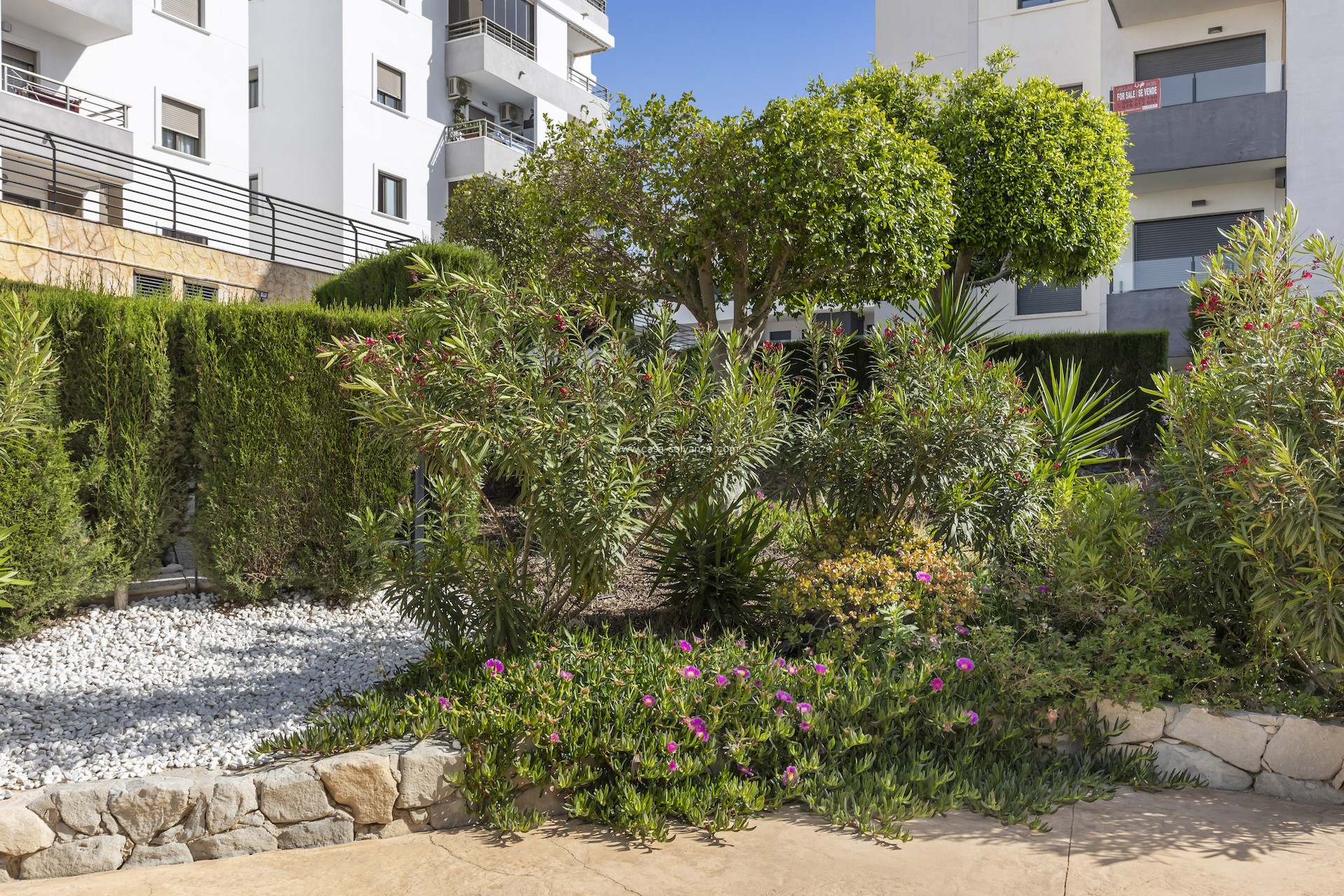 Herverkoop - Appartement / flat - San Miguel de Salinas - Inland