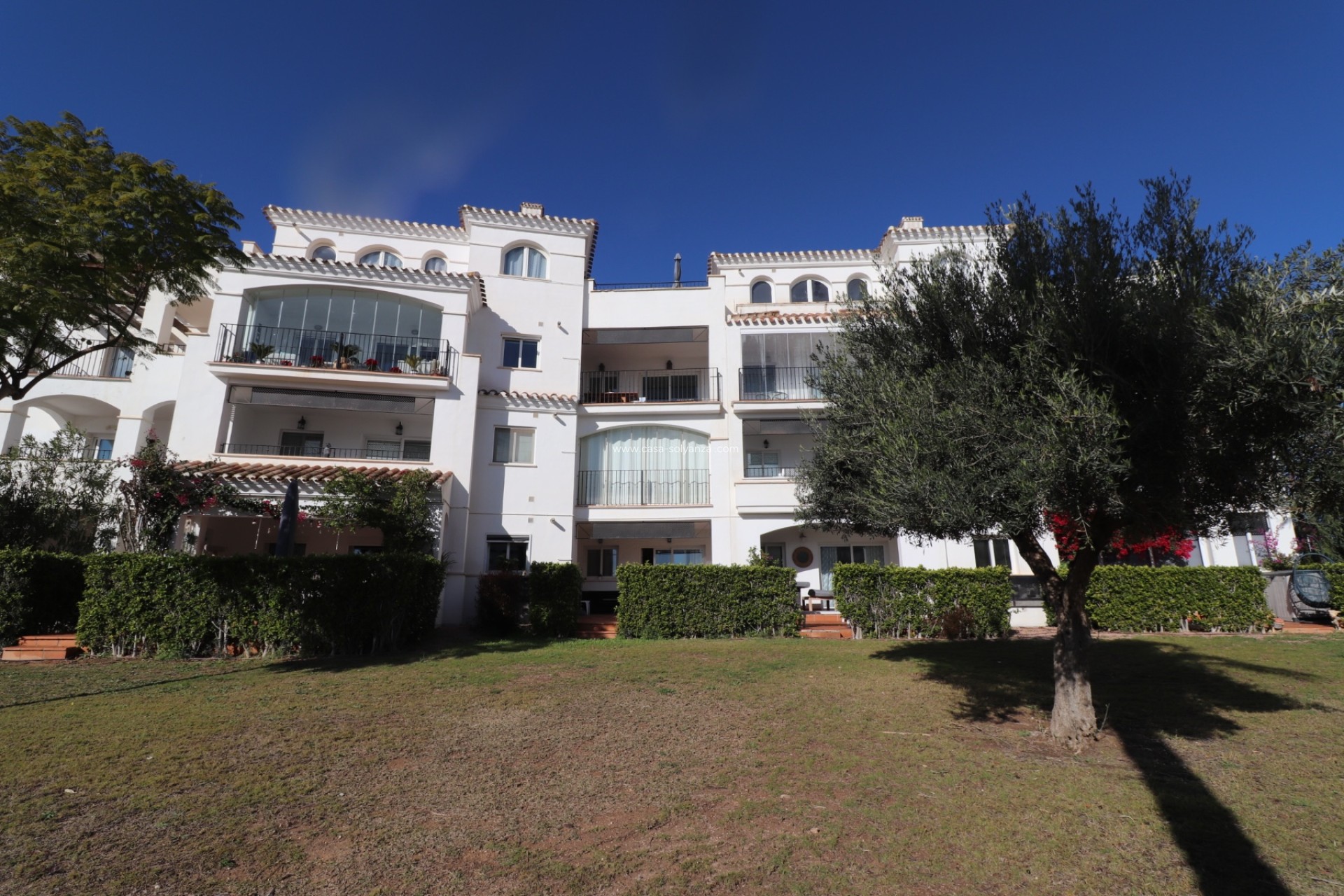 Herverkoop - Appartement / flat - Sucina - Inland