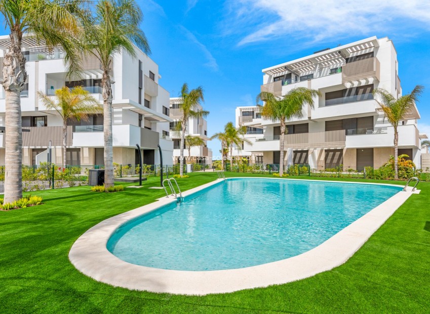 Herverkoop - Appartement / flat - Torre Pacheco - Inland