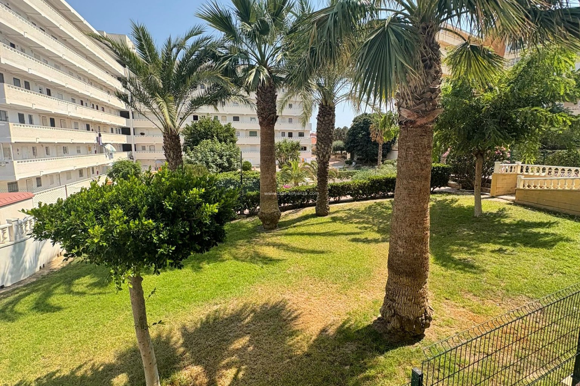 Herverkoop - Appartement / flat - Torrevieja - 0