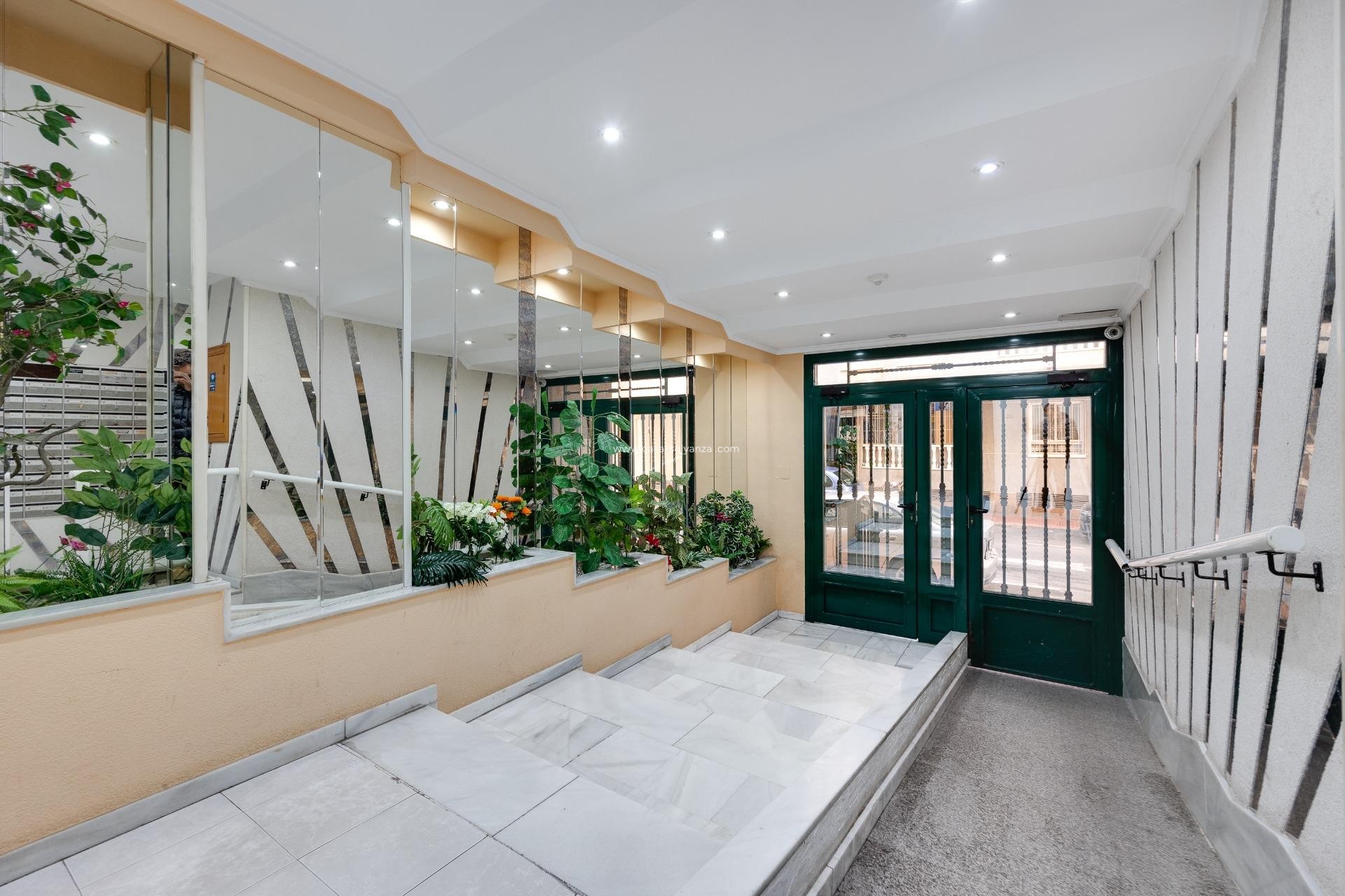 Herverkoop - Appartement / flat - Torrevieja - Acequion