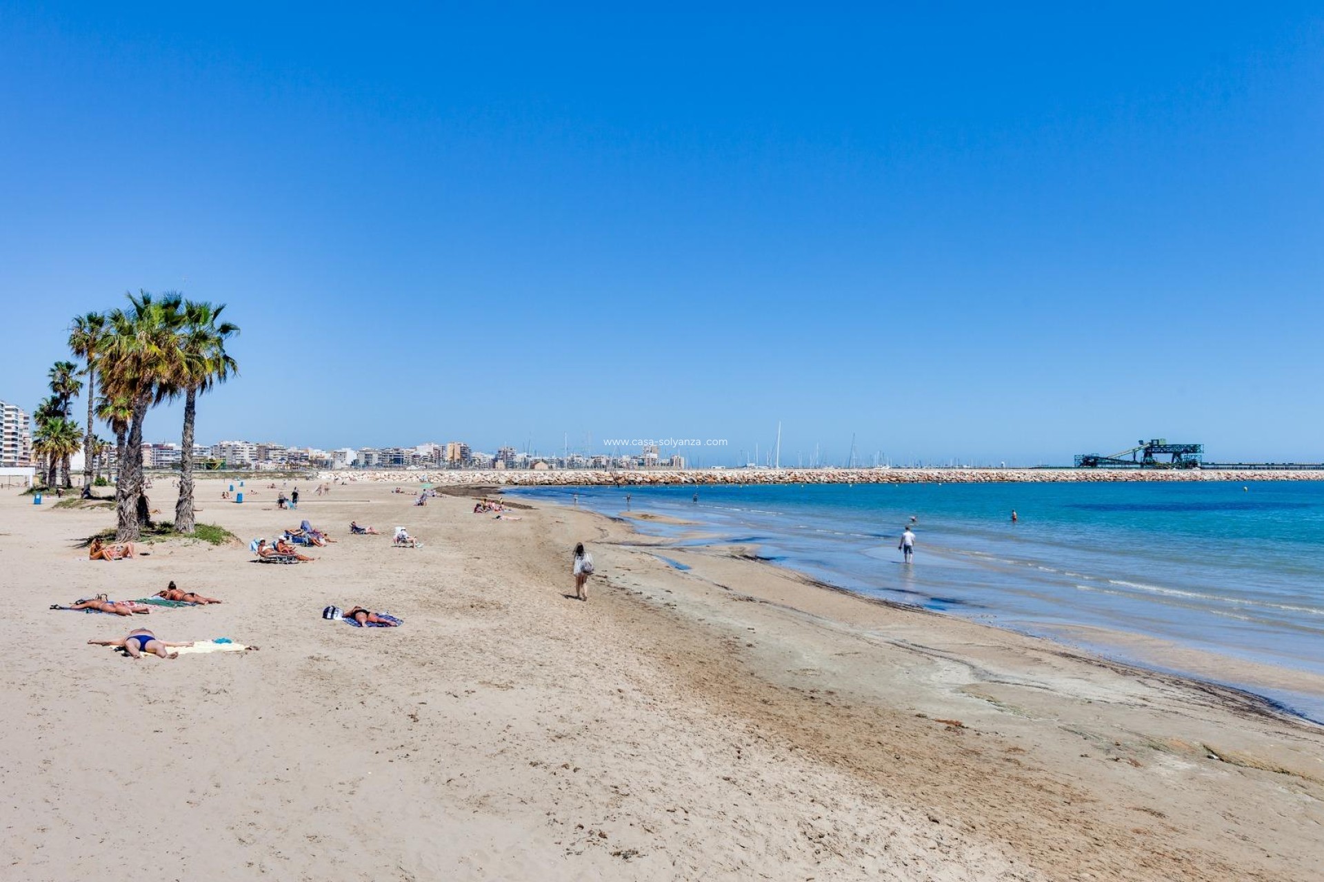 Herverkoop - Appartement / flat - Torrevieja - Acequion