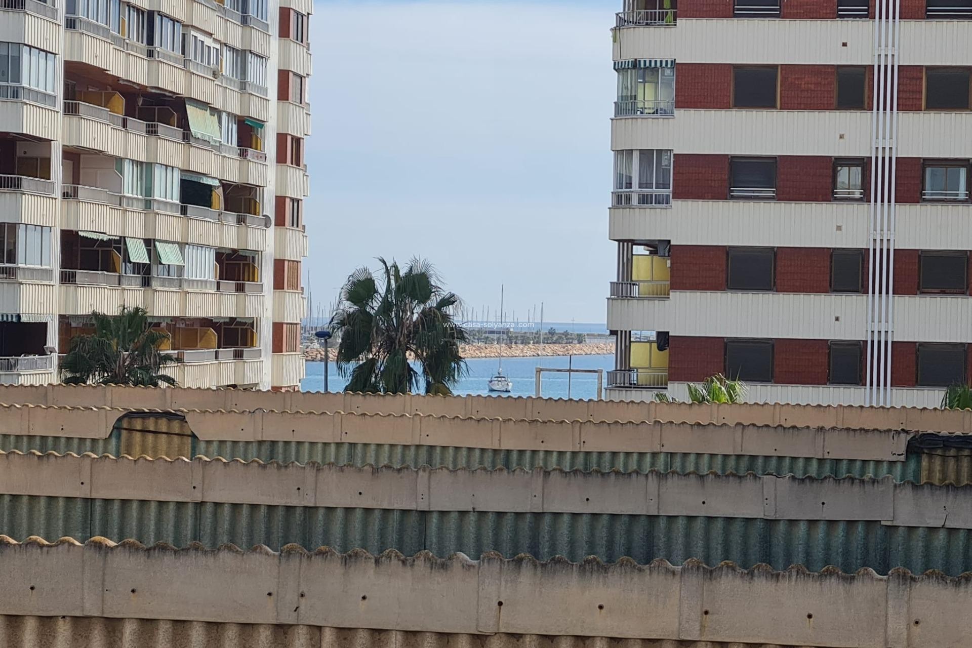 Herverkoop - Appartement / flat - Torrevieja - Acequion