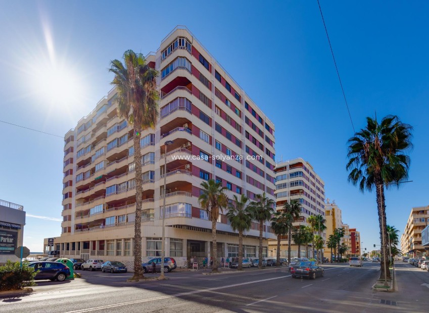 Herverkoop - Appartement / flat - Torrevieja - Acequion