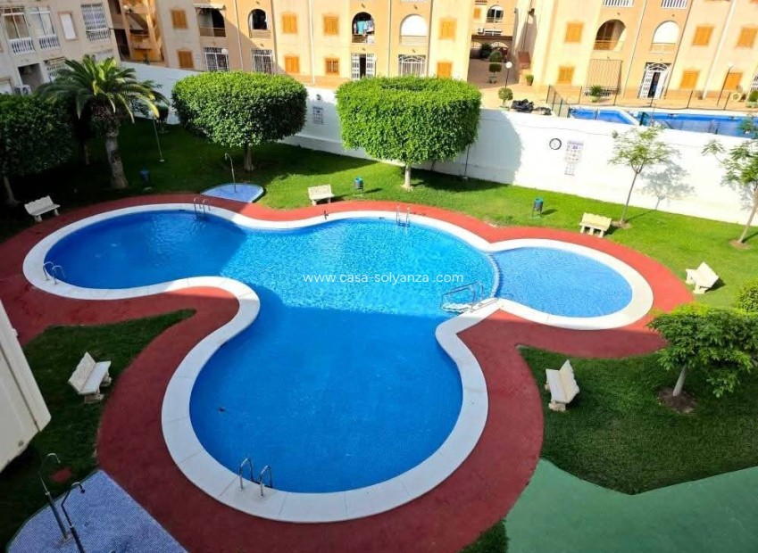 Herverkoop - Appartement / flat - Torrevieja - Acequion