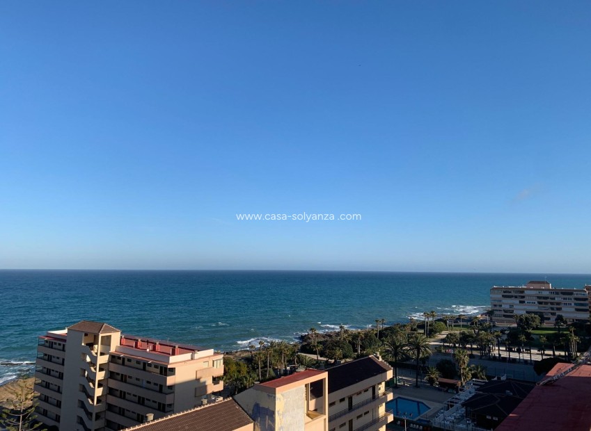 Herverkoop - Appartement / flat - Torrevieja - Cabo cervera