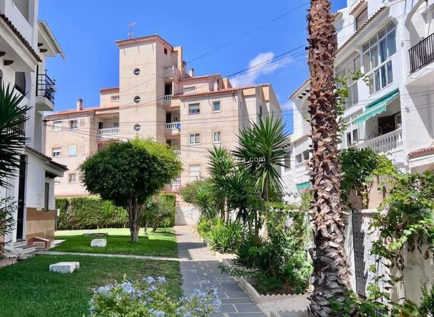 Herverkoop - Appartement / flat - Torrevieja - Calas Blanca
