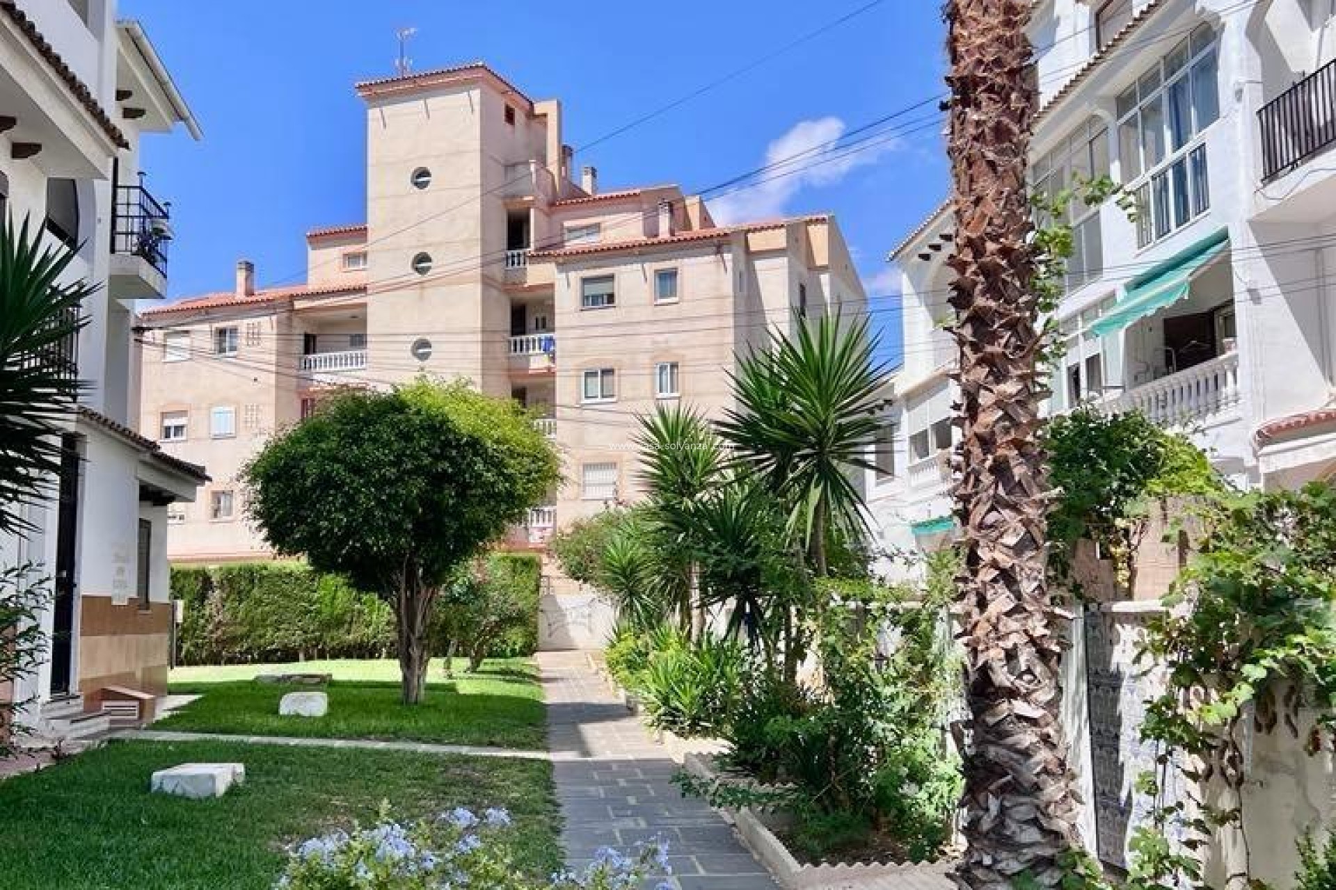 Herverkoop - Appartement / flat - Torrevieja - Calas Blanca