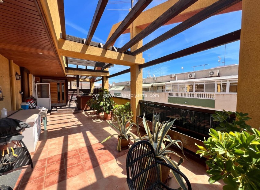 Herverkoop - Appartement / flat - Torrevieja - Center