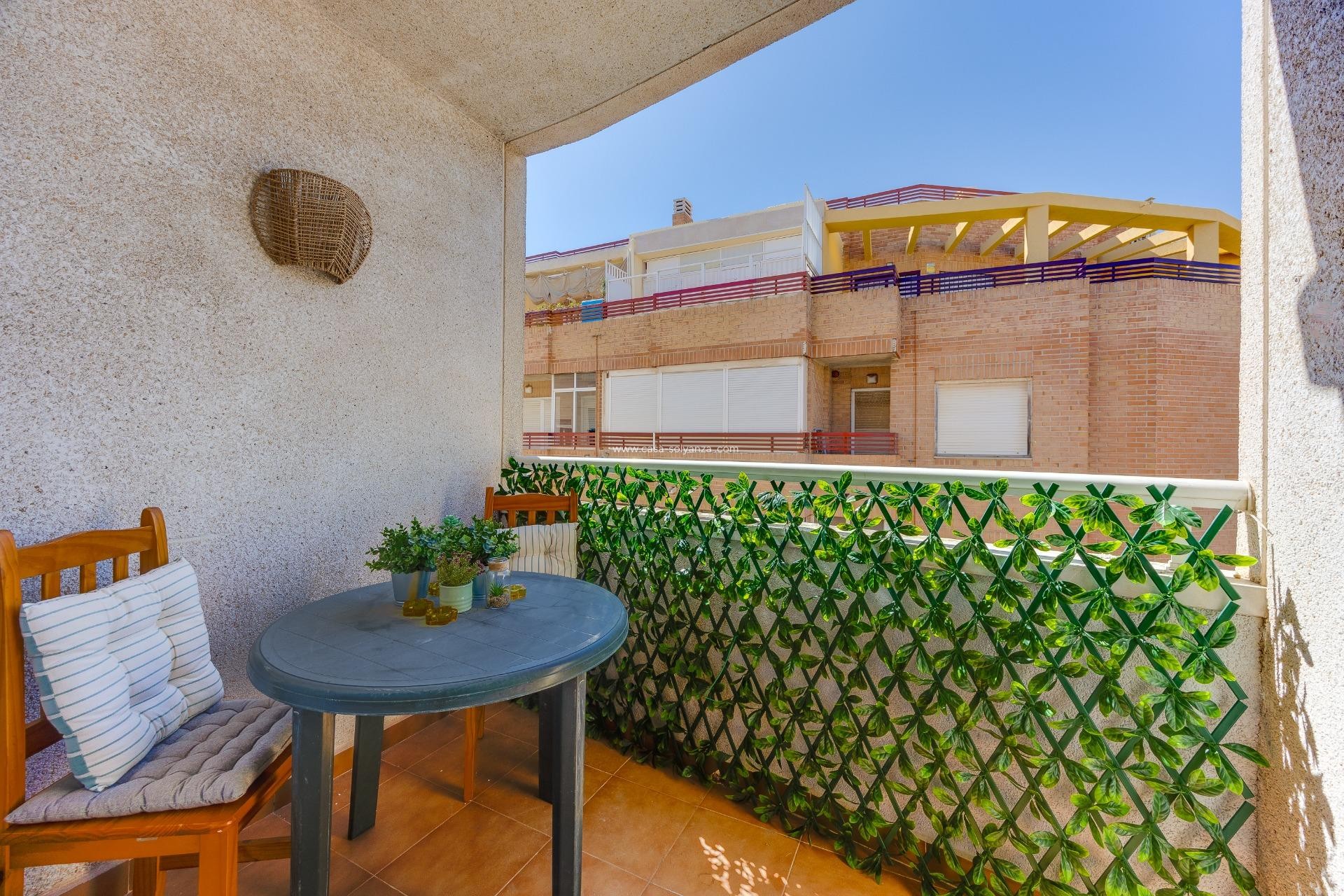 Herverkoop - Appartement / flat - Torrevieja - Center