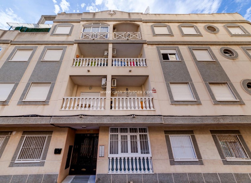 Herverkoop - Appartement / flat - Torrevieja - Center