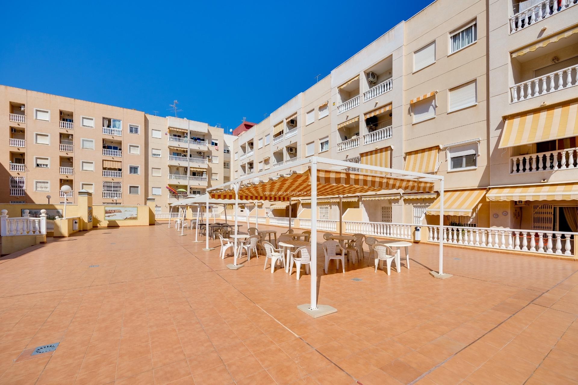 Herverkoop - Appartement / flat - Torrevieja - Center