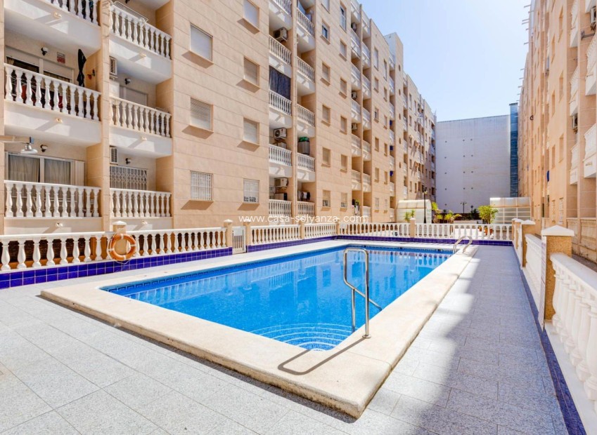 Herverkoop - Appartement / flat - Torrevieja - Center