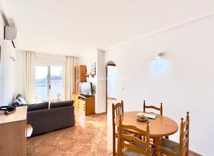 Herverkoop - Appartement / flat - Torrevieja - Center