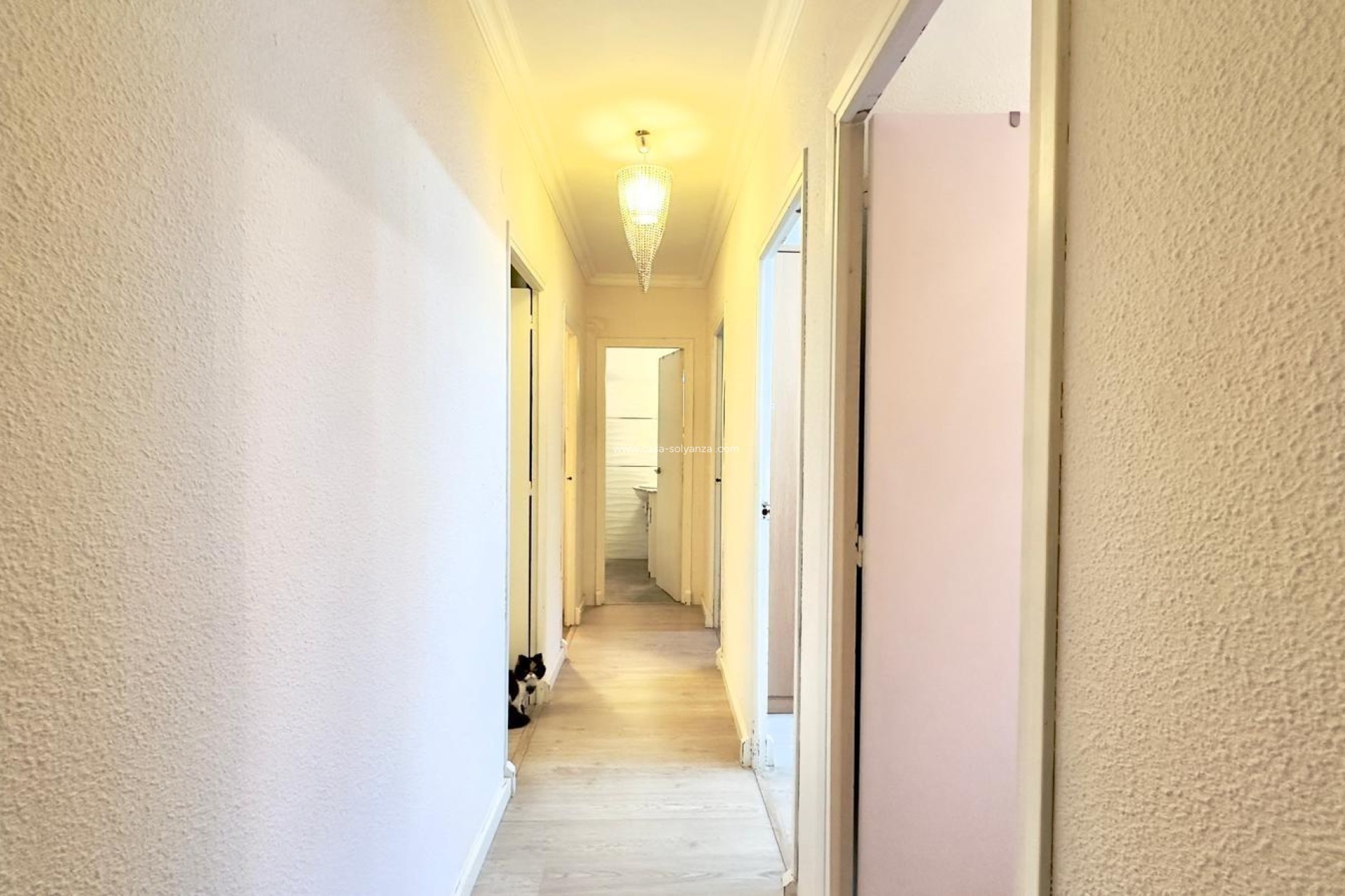 Herverkoop - Appartement / flat - Torrevieja - Center