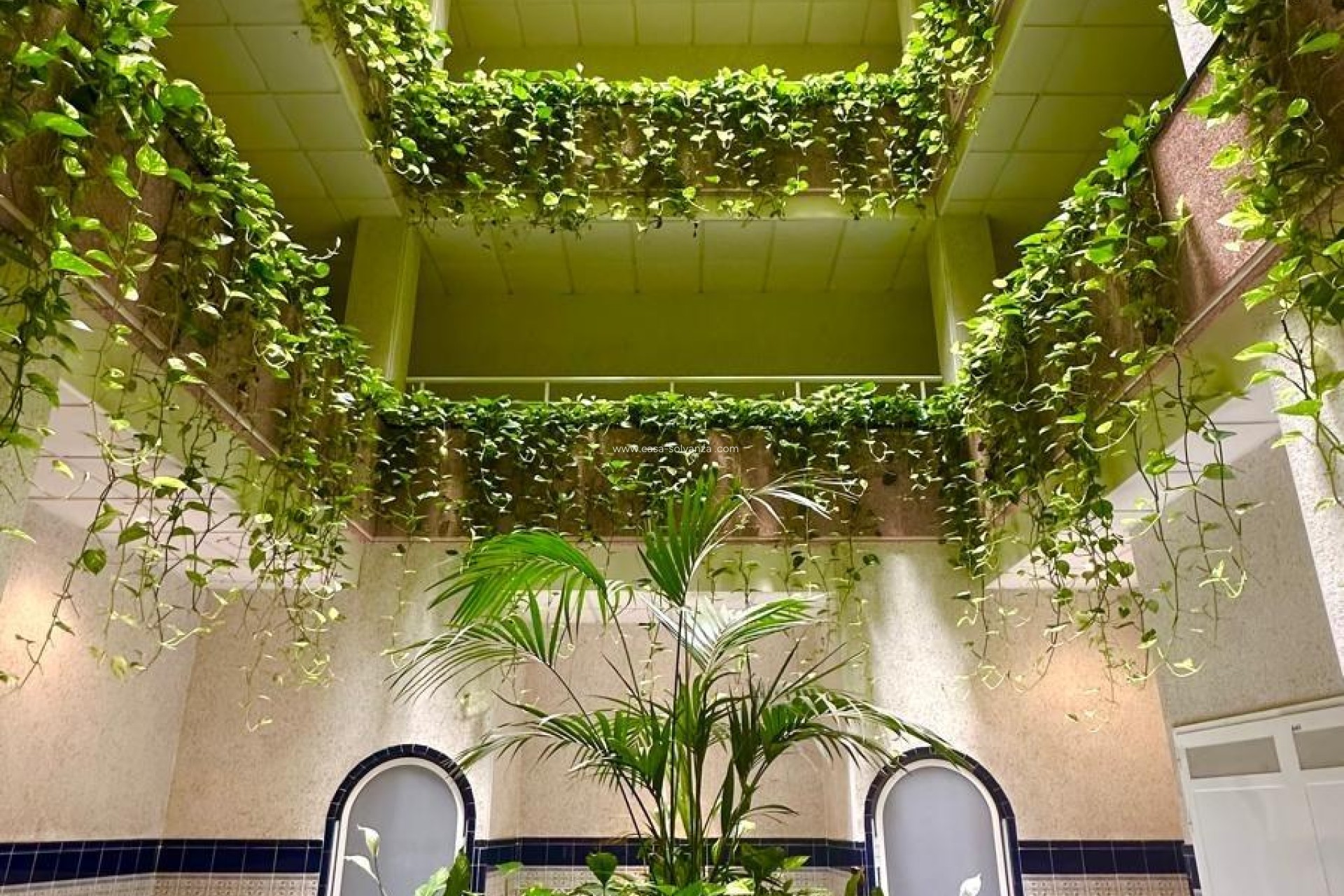 Herverkoop - Appartement / flat - Torrevieja - Center