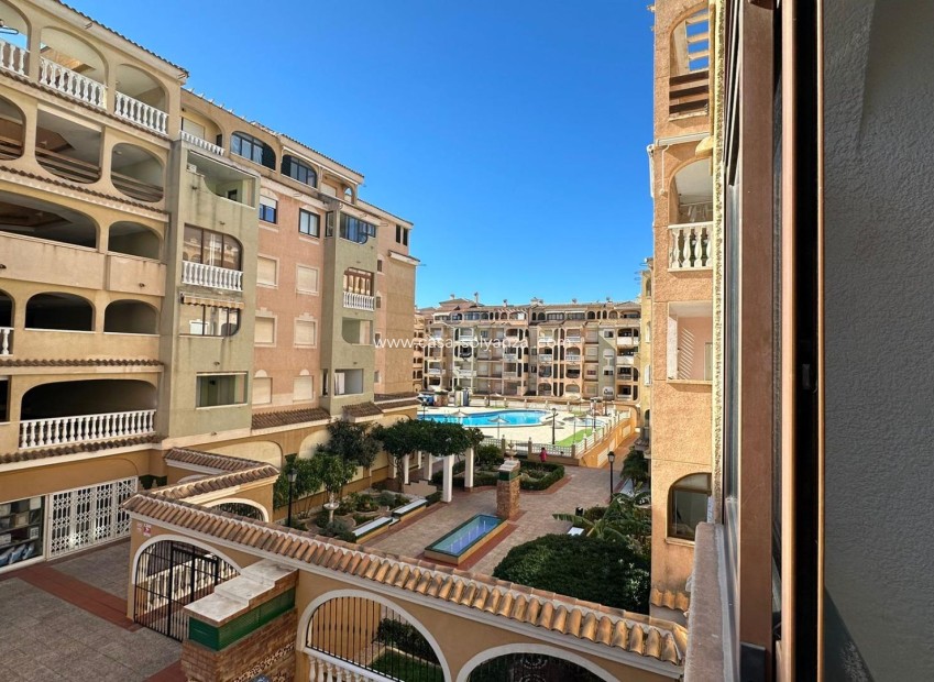 Herverkoop - Appartement / flat - Torrevieja - Center