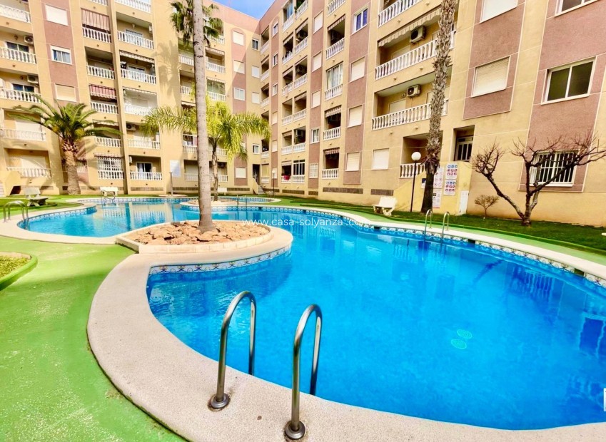 Herverkoop - Appartement / flat - Torrevieja - Center