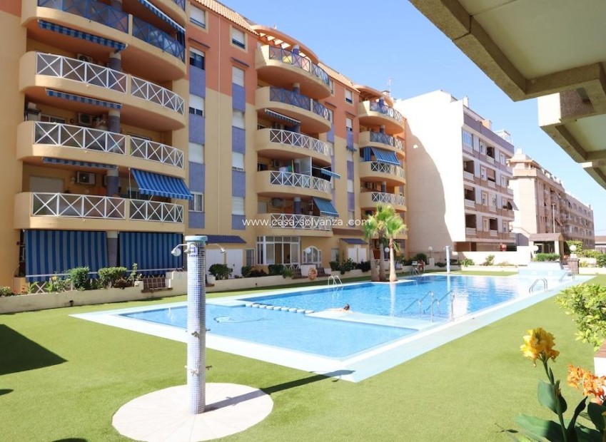Herverkoop - Appartement / flat - Torrevieja - Center