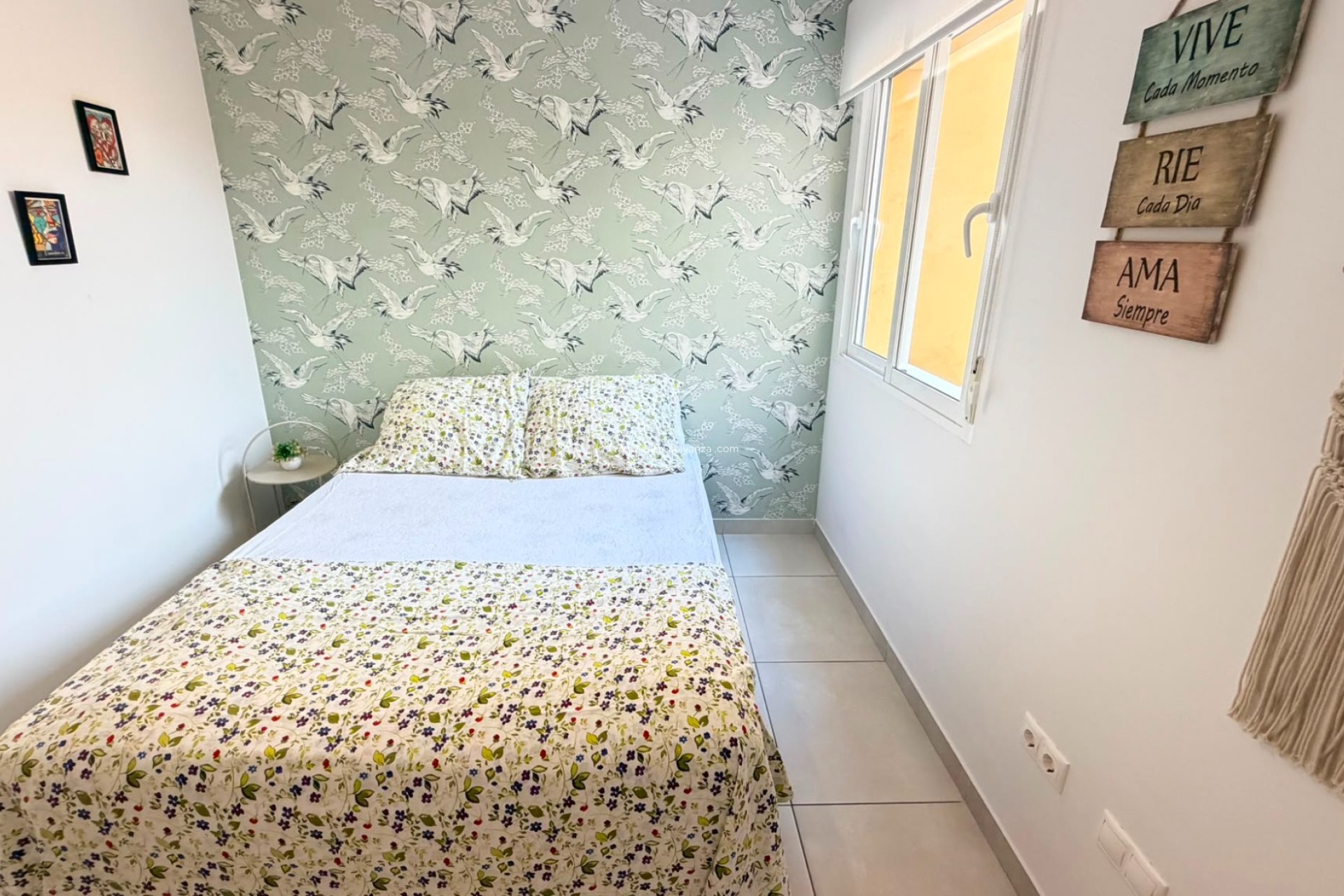 Herverkoop - Appartement / flat - Torrevieja - Costa Blanca