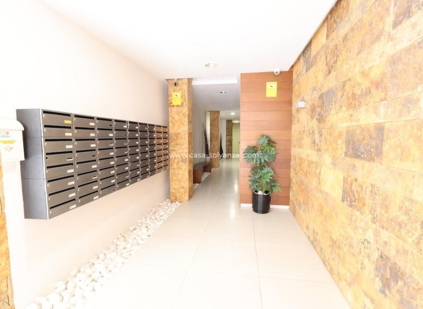 Herverkoop - Appartement / flat - Torrevieja - Costa Blanca