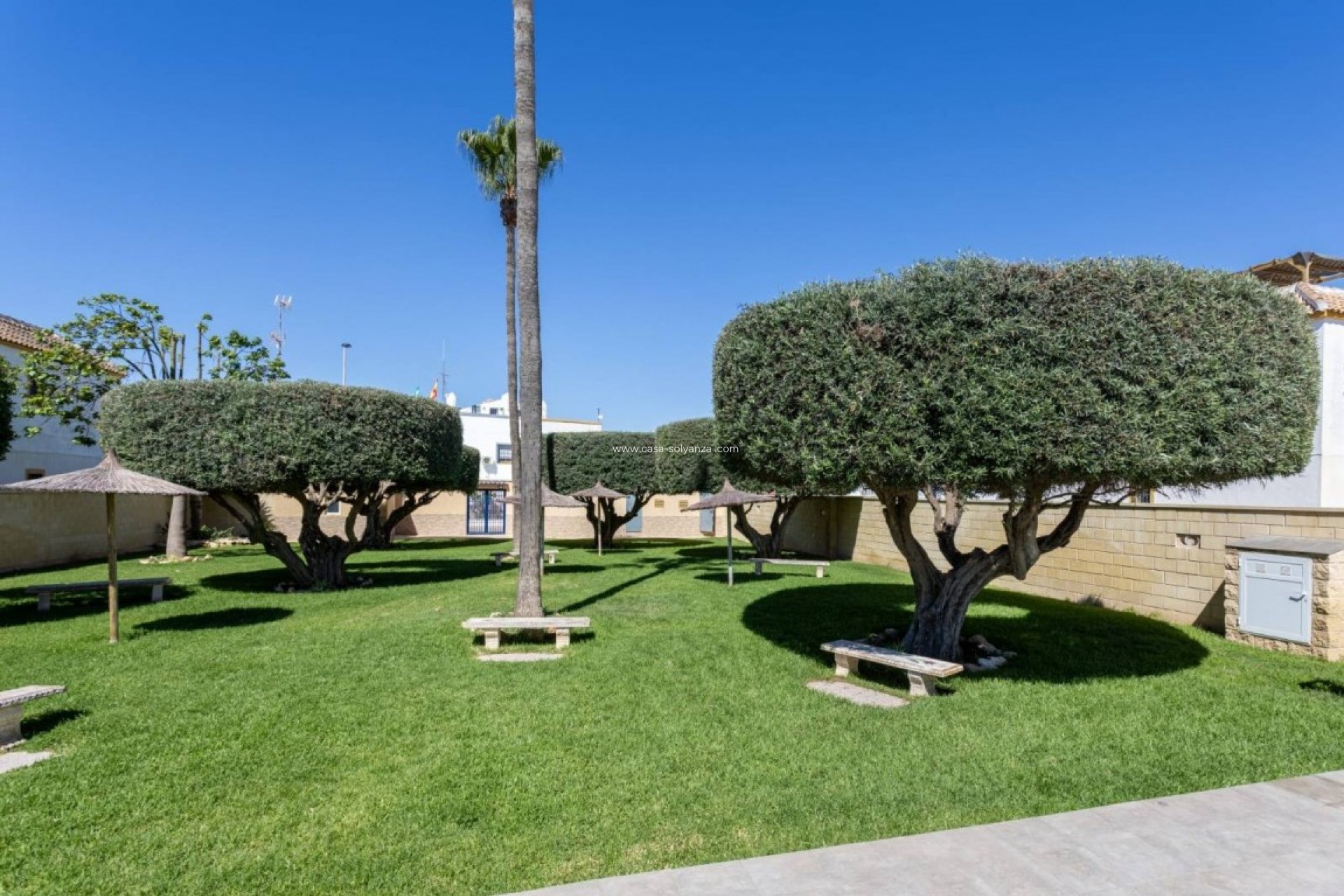 Herverkoop - Appartement / flat - Torrevieja - Costa Blanca