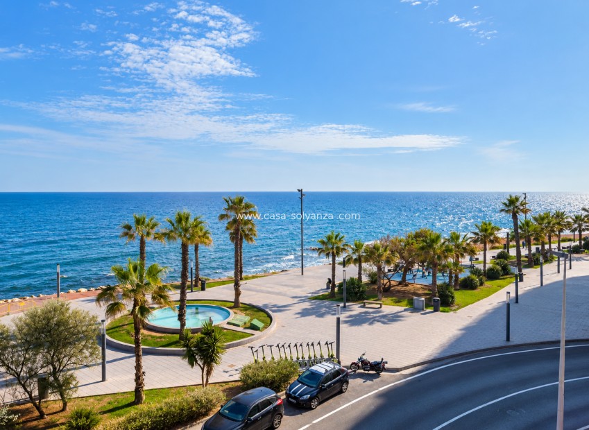 Herverkoop - Appartement / flat - Torrevieja - Costa Blanca