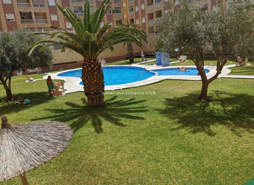 Herverkoop - Appartement / flat - Torrevieja - Costa Blanca
