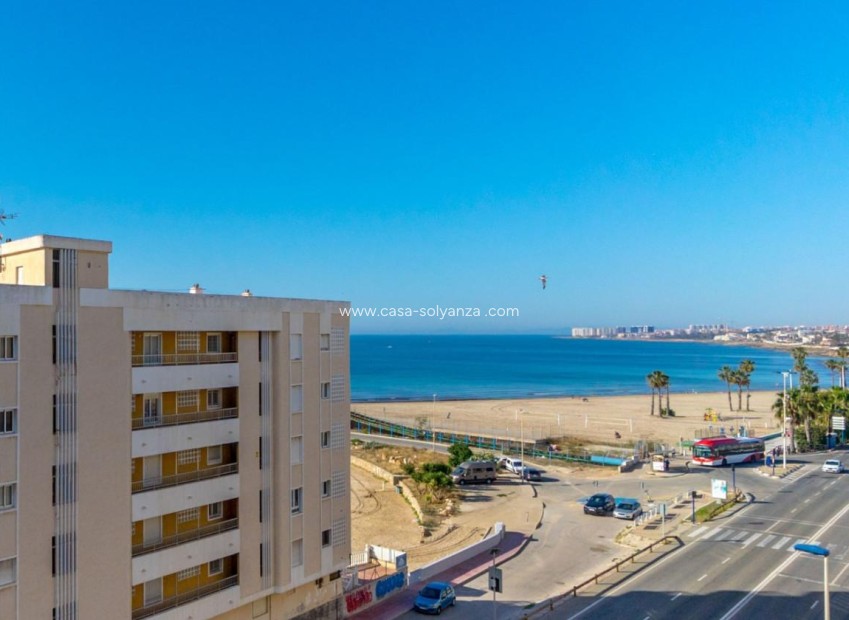 Herverkoop - Appartement / flat - Torrevieja - Costa Blanca