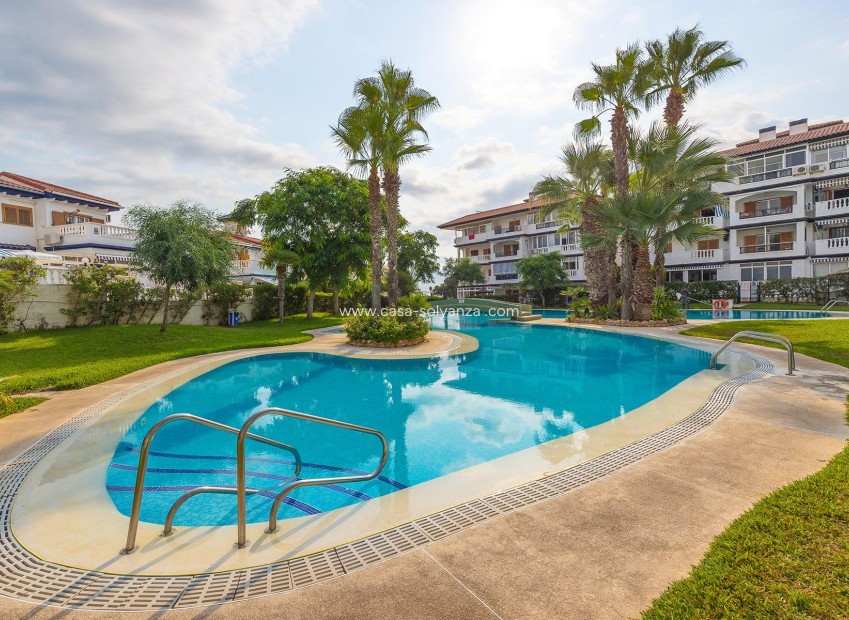 Herverkoop - Appartement / flat - Torrevieja - Costa Blanca