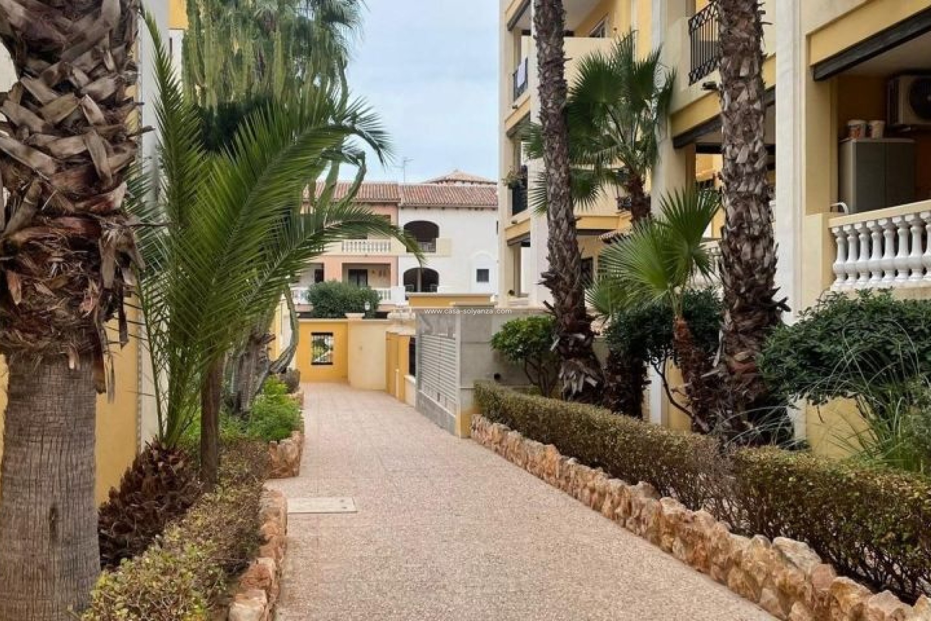 Herverkoop - Appartement / flat - Torrevieja - Costa Blanca