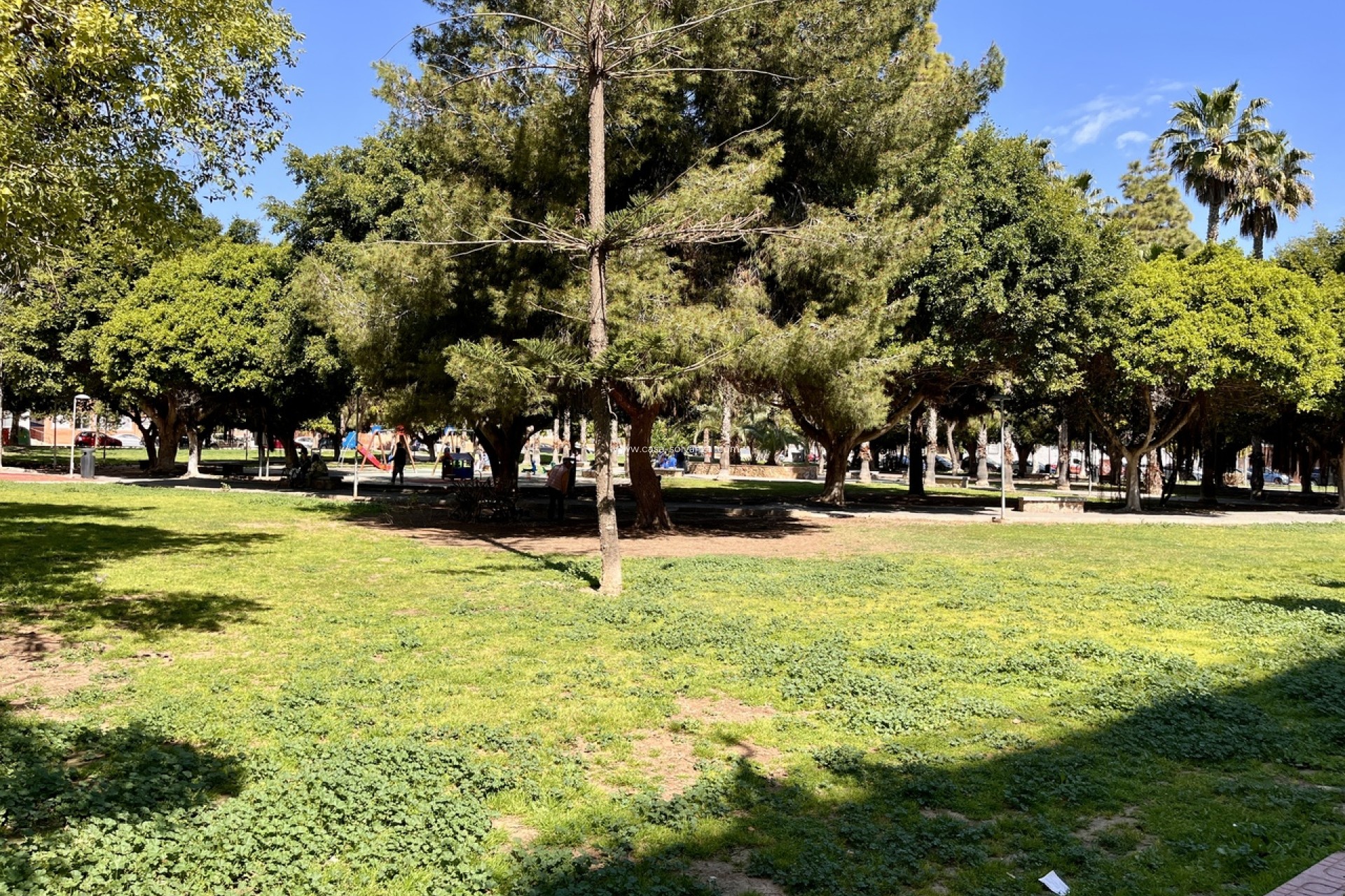 Herverkoop - Appartement / flat - Torrevieja - Costa Blanca