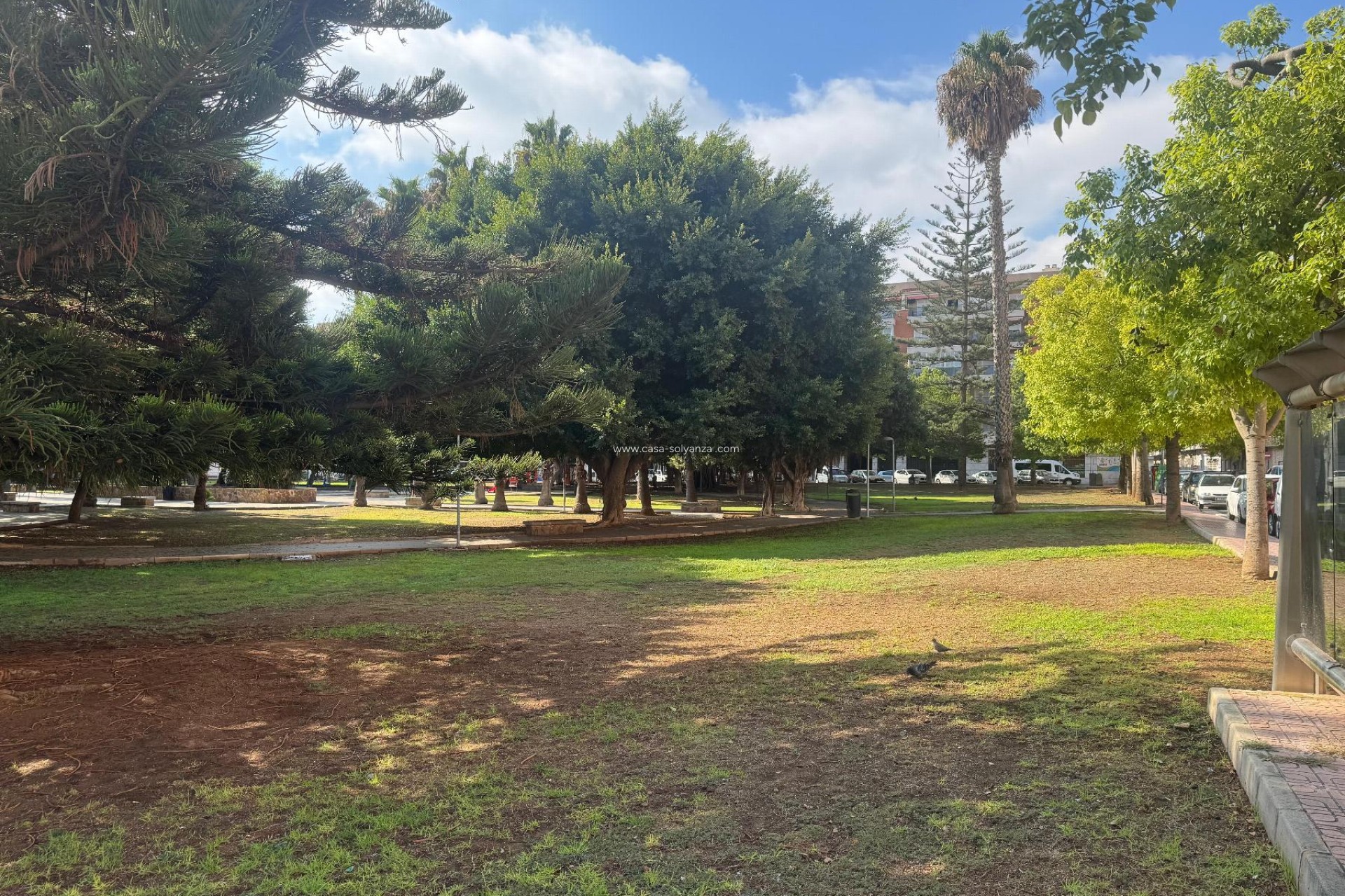 Herverkoop - Appartement / flat - Torrevieja - Costa Blanca