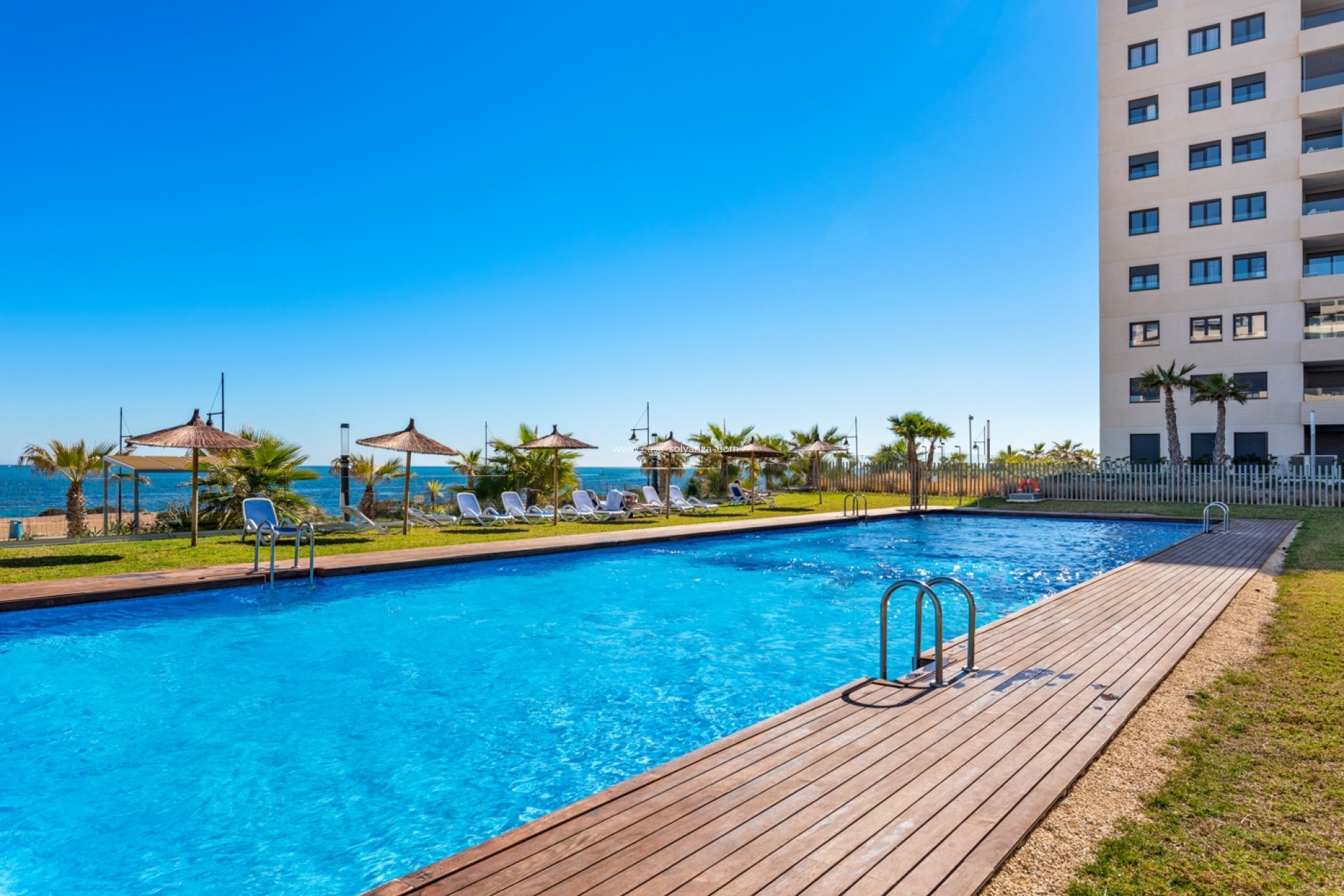 Herverkoop - Appartement / flat - Torrevieja - Costa Blanca